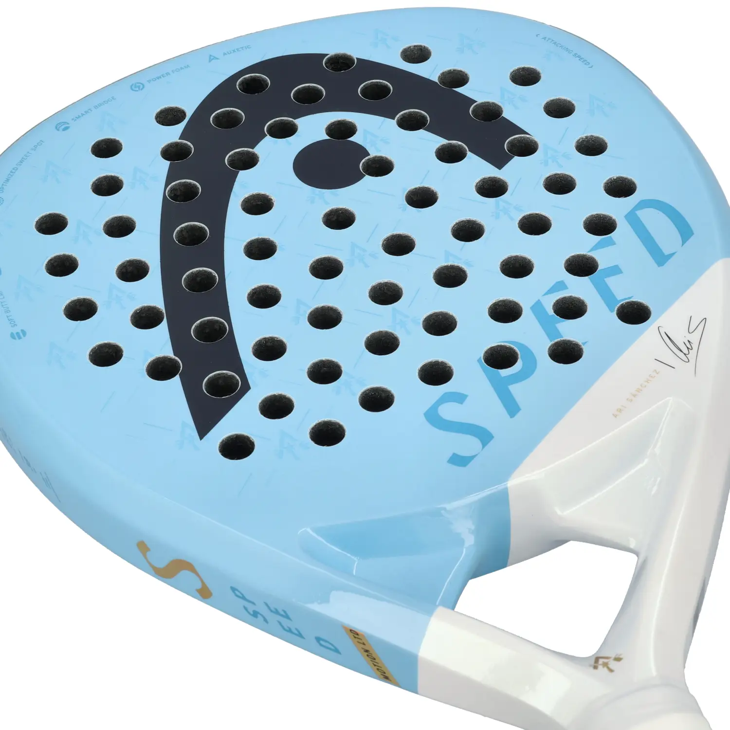 Head Speed Motion Ari Sanchez 2024 - Image 3