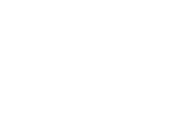 Logo_babolat